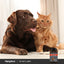 A brown Labrador and an orange fluffy cat sit beside a bottle of Pet Hip & Joint chewables.