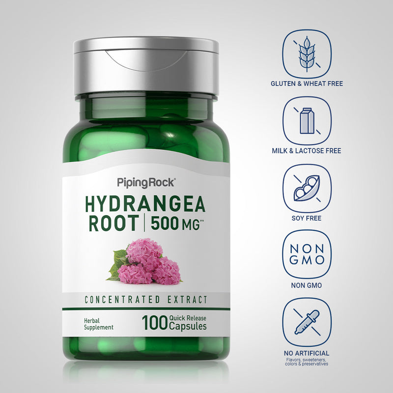 39184 PIP Hydrangea Root 500mg 100  Capsules
