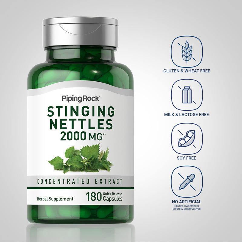 3551 PIP Stinging Nettles 2000 mg Capsules 180