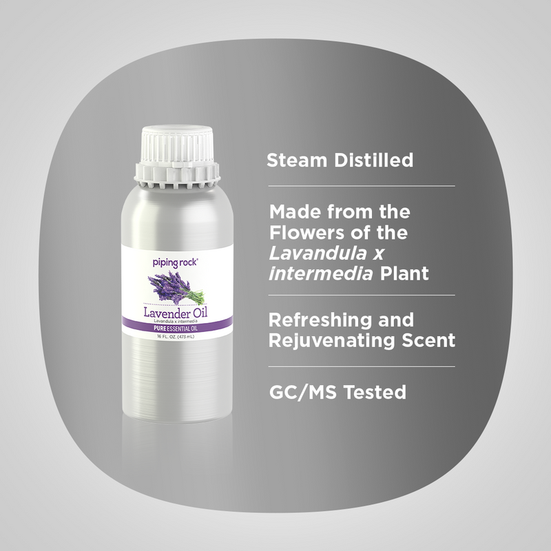 4814 PIP Lavender Oil  16 oz (HC4814)