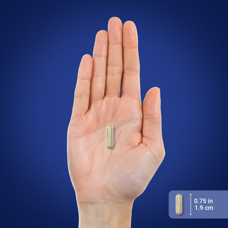 1414 PIP Quercetin Plus Bromelain 240 Capsules