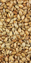 60740 PIP Sunflower Seeds No Shell RNS 1 lb (25