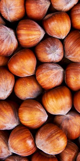 60470 PIP Hazelnuts (Filberts) In Shell 1 lb (50#)