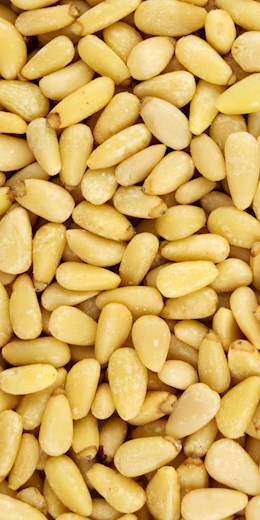 60100 PIP Pine Nuts (Pignolias) 8 oz (55.12#)