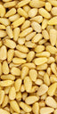60100 PIP Pine Nuts (Pignolias) 8 oz (55.12