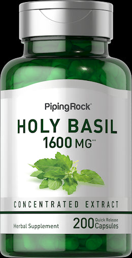 3393 PIP Holy Basil Tulsi 1600 mg 200 Capsules