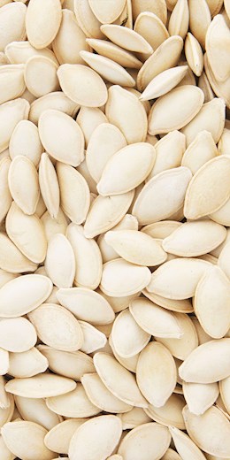 60340 PIP Pumpkin Seeds R/S in Shell 1lb (18#)