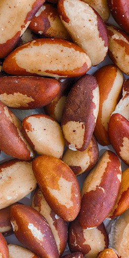 60450 PIP Brazil Nuts Raw Unsalted 1 lb (44.09#)