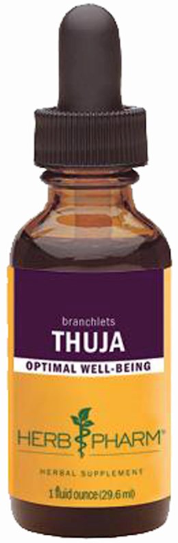 40401 Herb Pharm Thuja Liquid Extract 1 fl oz