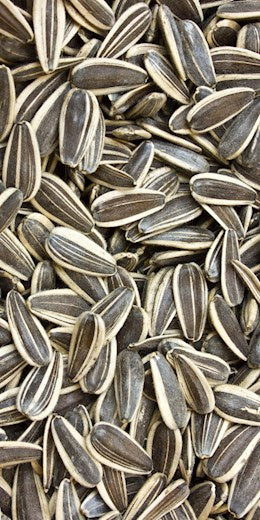 60550 PIP Sunflower Seeds RNS In-Shell 1 lb (25#)