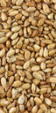 60540 PIP Sunflower Seeds No Shell R/S 1lb (25