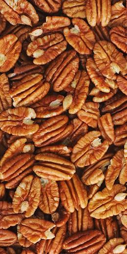 60490 PIP Georgia  Pecans Raw  No Shell 1 lb (30#) KIT